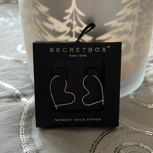 ⭐️NIB SecretBox Heart Hoop Earrings